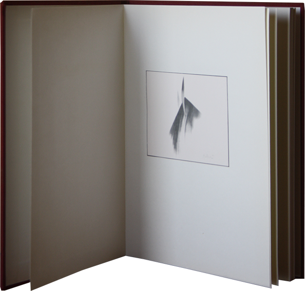 Imagem (2) do livro